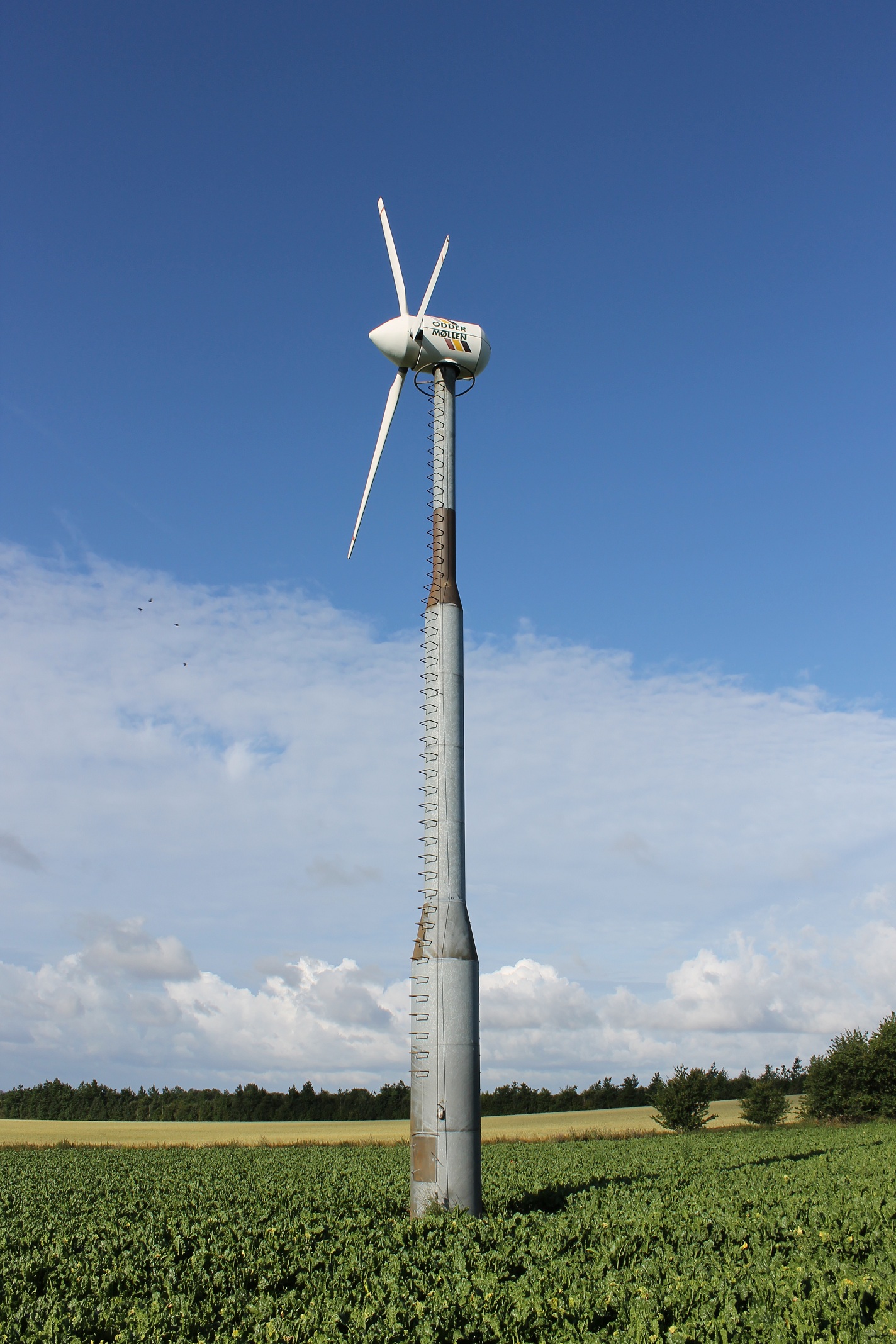 Træts webspindel det kan Frank Worthley Scandinavian Wind Odder Mølle 18 SP - 18,50 kW - Wind turbine
